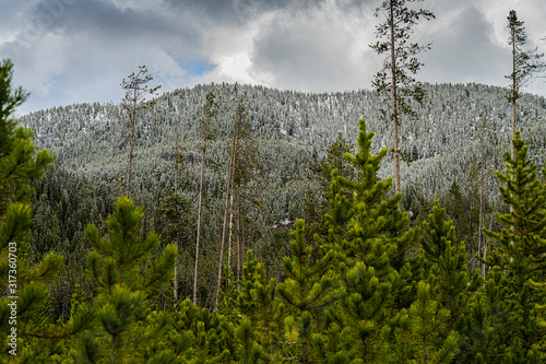 MT HAYNES WITH SNOW photo