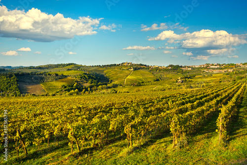 Panzano in Chianti vineyard and panorama at sunset. Tuscany  Italy