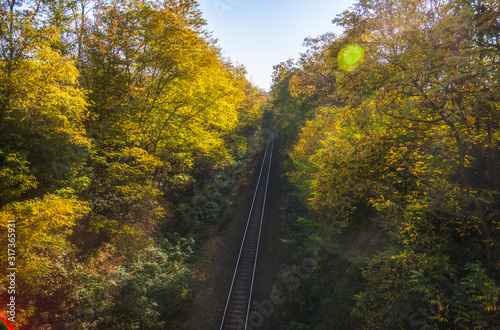 High Angle View of Empty Railway in a Forest with Colorful Trees