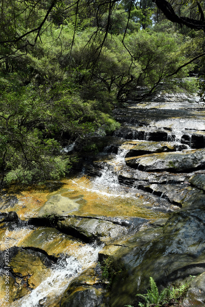 mountain stream in the forest mountain stream in the forest