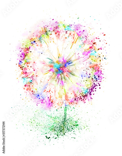 Spring flower dandelion. Watercolor floral hand drawn illustration. Blooming colorful dandelion isolated. 