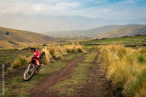 En el medio del campo