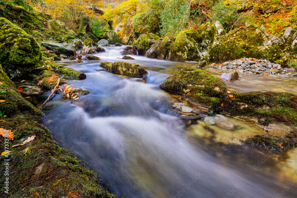 Cascades and waterfalls on mountain stream or creek, between mossy rocks in Tollymore Forest Park in autumn, Newcastle, County Down, Northern Ireland