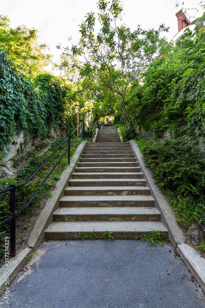 Long outside staircase with shrubbery.