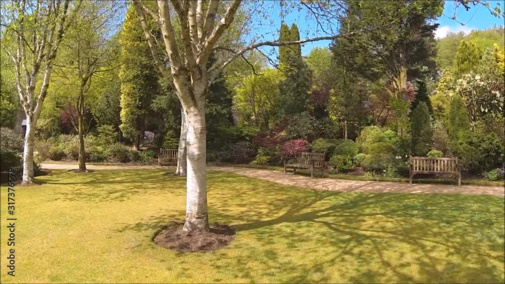 Beautiful conifer garden in Spring, HD video Beautiful conifer garden in Spring, HD video