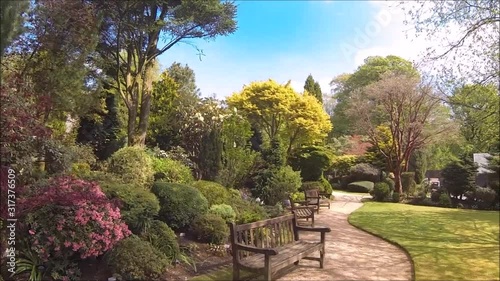 Beautiful conifer garden in Spring, HD video