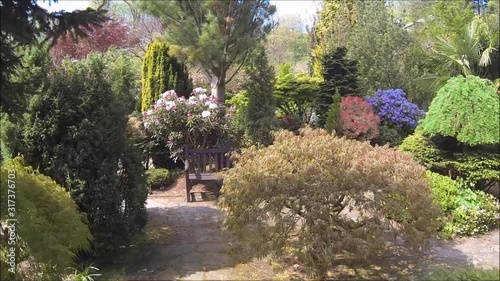Beautiful conifer garden in Spring, HD video 