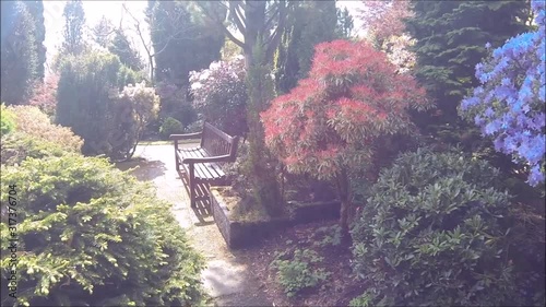 Beautiful conifer garden in Spring, HD video 