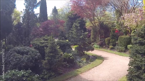Beautiful conifer garden in Spring, HD video 