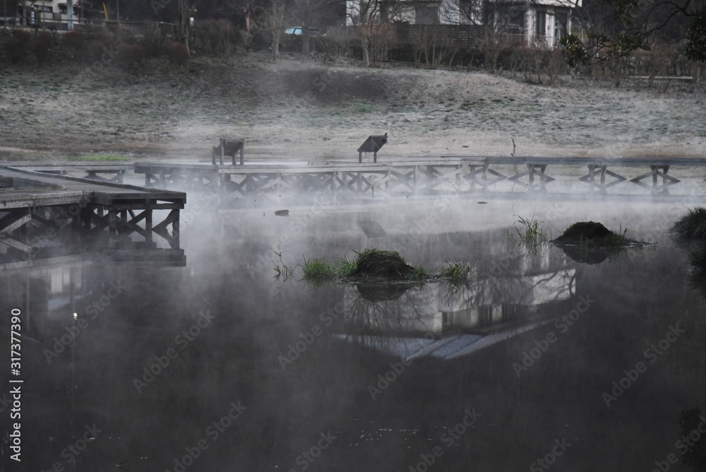 Fototapeta premium A fantastic sight / Steam fog at a pond in a natural park.