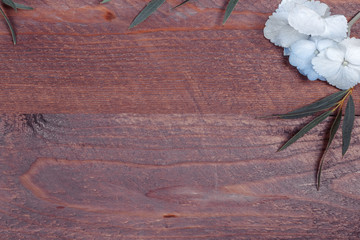 border frame made of branches eucalyptus on dark wooden background. lay flat, top view