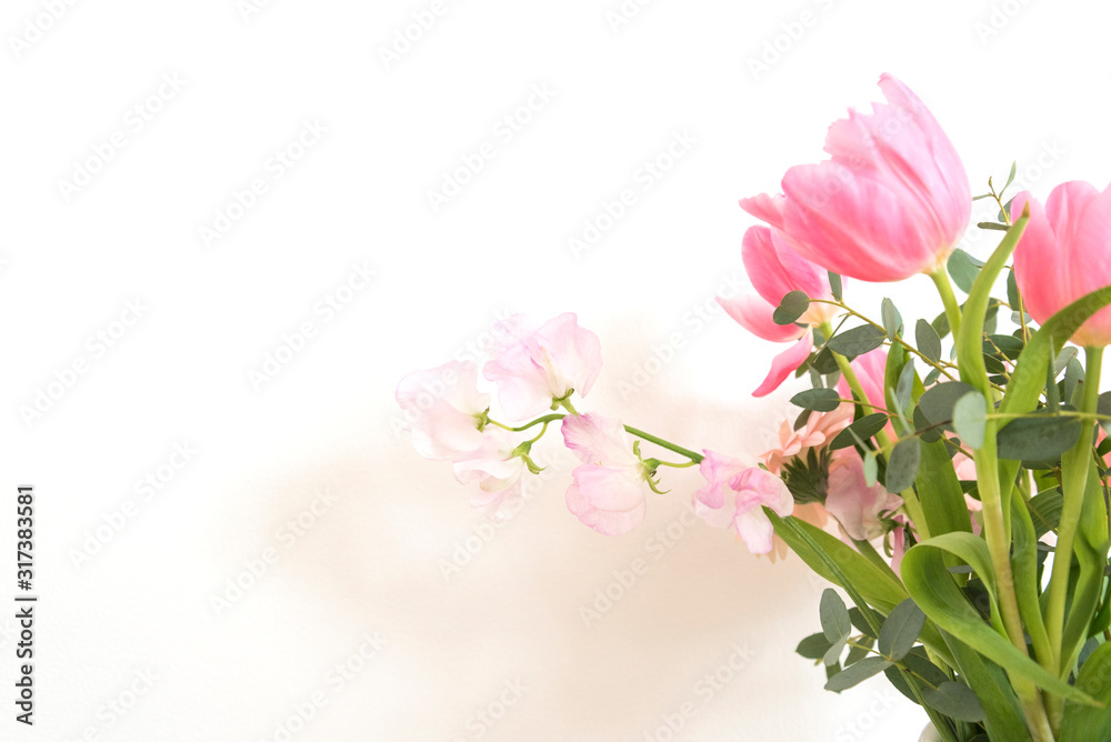 ピンク系の花とグリーン　部屋　白壁　白背景　室内　屋内　自然光　余白　ホワイトスペース　コピースペース　文字スペース　横　背景素材　背景　グラフィック素材　　白　緑　ピンク　春　季節　スイートピー