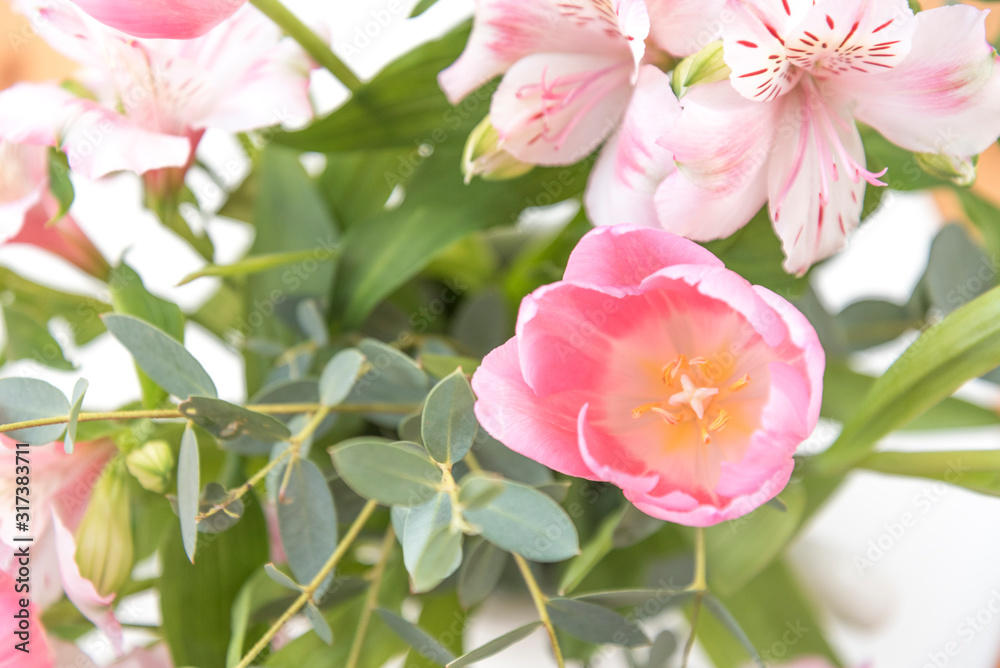 Fototapeta premium ピンクの花 アップ クローズアップ ピンク系の花とグリーン 素材 室内 屋内 自然光 ホワイトスペース コピースペース 文字スペース 横 背景素材 背景 グラフィック素材 白 緑 ピンク 春 季節 スイートピー