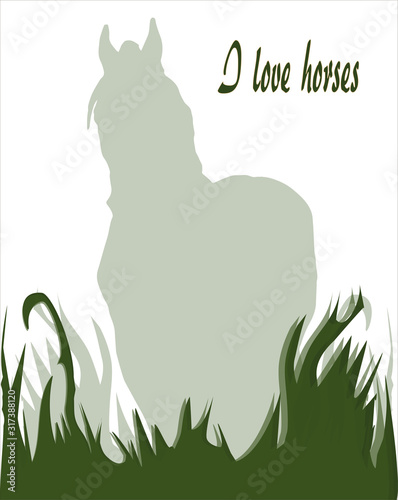  color silhouette of a horse standing in the thick grass, isolated on colored background ,for postcards and design