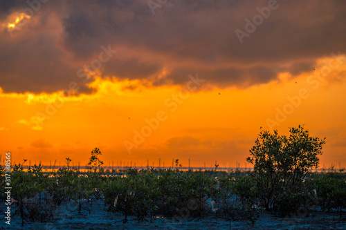 The abstract wallpaper of the blurred nature of the colorful multicolored sky by the large lake, with the golden yellow sky from the light that hits the morning sun.