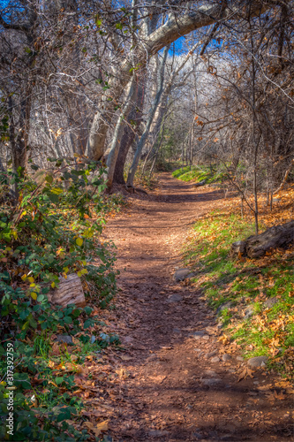 Fall for Sedona