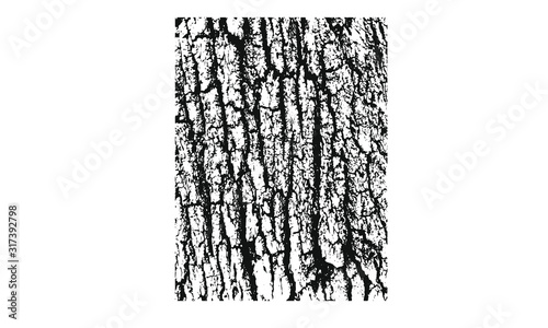 Old tree texture 1