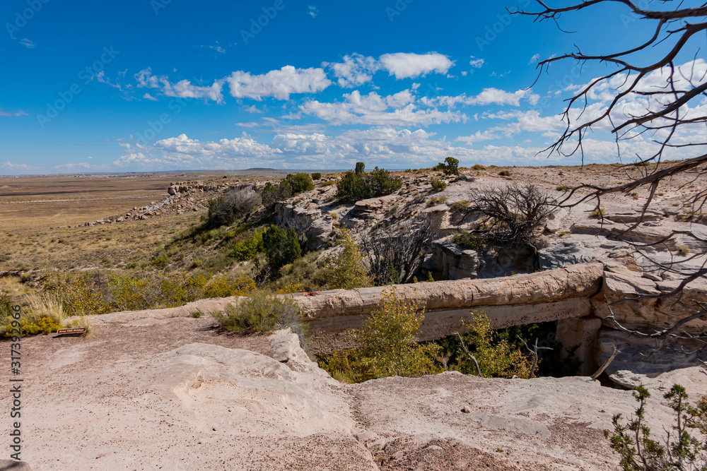Fototapeta premium Beautiful landscape of Agate Bridge, Petrified Forest National Park