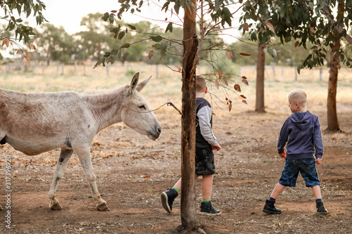 Two children walking through a field at sunset with a donkey and a sheep following behind