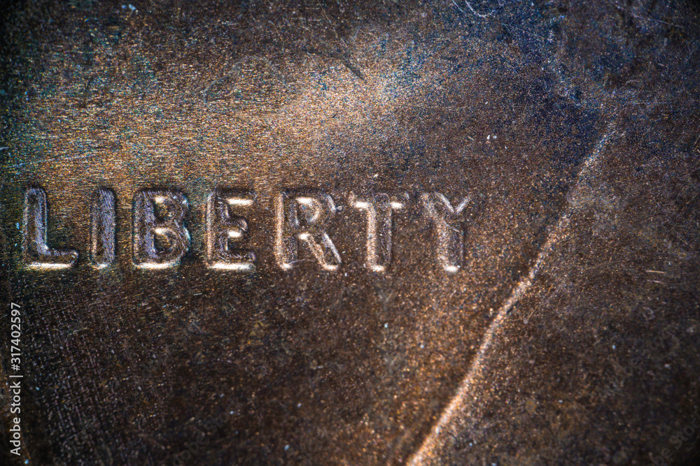 Fototapeta premium Marco Penny Super Close Up