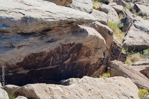 Beautiful landscape of Newspaper Rock, Petrified Forest National Park