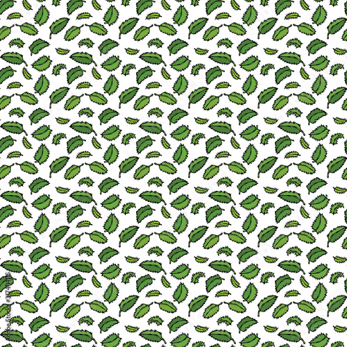 Herbal Seamless Endless Pattern of mint. Wrapping paper  fabric print  wallpaper of Green floral branches. Kitchen Collection. EPS10 Vector. Hand Drawn Doodle Style Realistic Illustration.