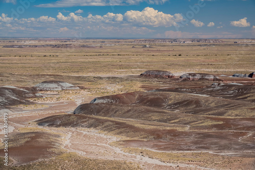 Beautiful landscape of Petrified Forest National Park