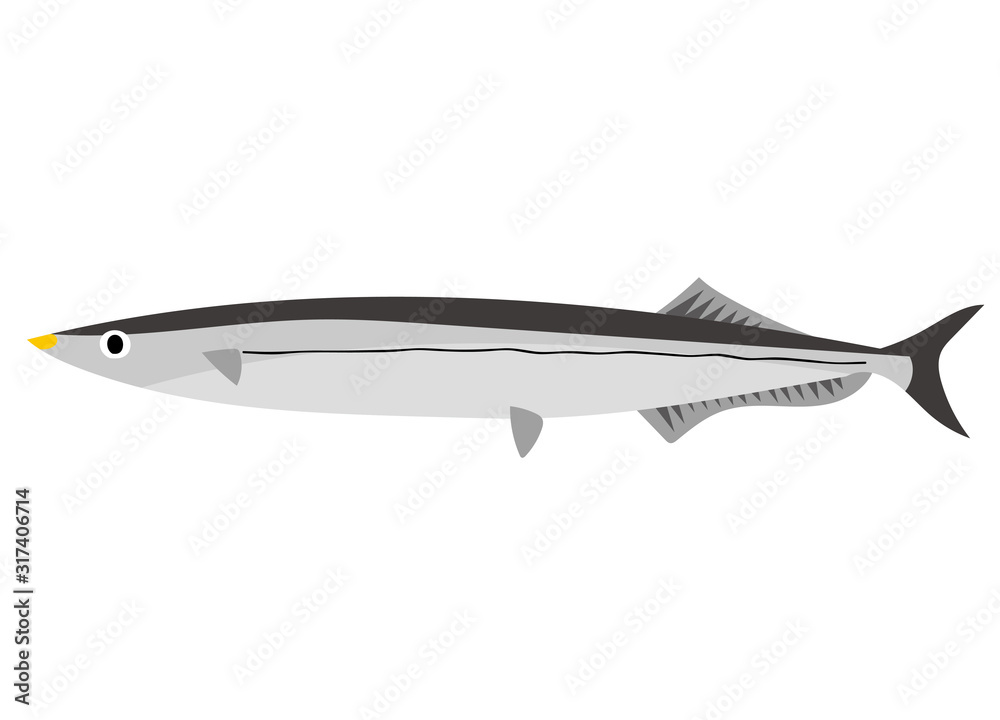 Saury Saury