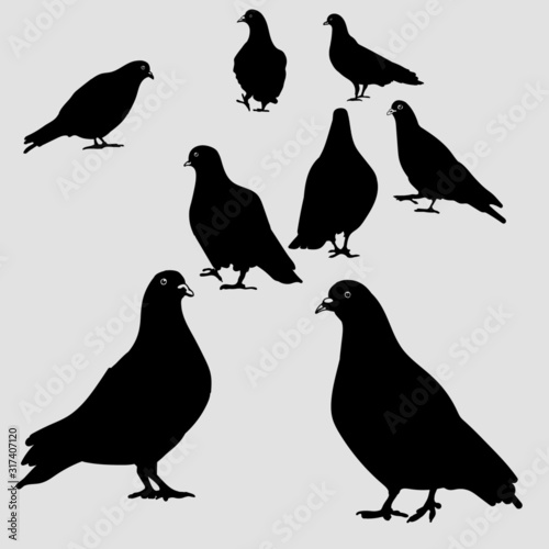 Photography set of black silhouettes of birds