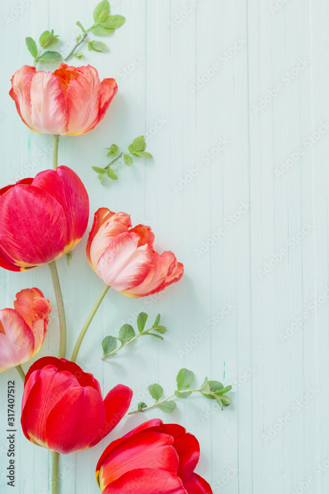 red tulips on green wooden background - obrazy, fototapety, plakaty 