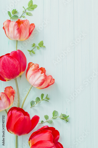 red tulips on green wooden background