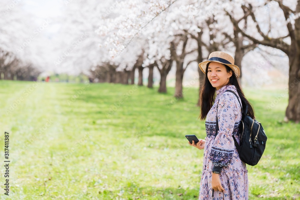 Asian beautiful young woman walking and take photo in green grass garden with sakura and cherry blooming tree landscape background.Concept of travel in spring season of japan. Asian beautiful young woman walking and take photo in green grass garden with sakura and cherry blooming tree landscape background.Concept of travel in spring season of japan.