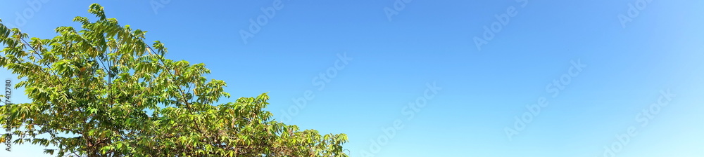 Panorama shot photograph. Clean and deep color of blue sky on day time for background usage(horizontal). Royalty free stock photograph.
