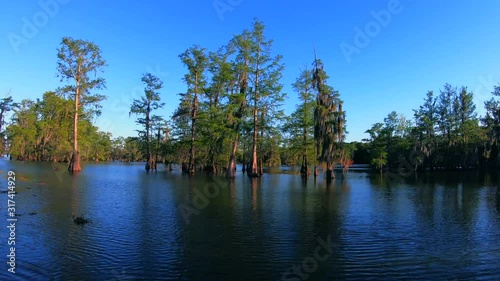 Timelapse of Lake Martin Cajun Swamp in spring near Breaux Bridge, Louisiana - shot from boat photo