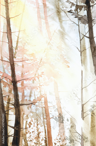 Watercolor illustration of a beautiful winter Russian forest in the sun