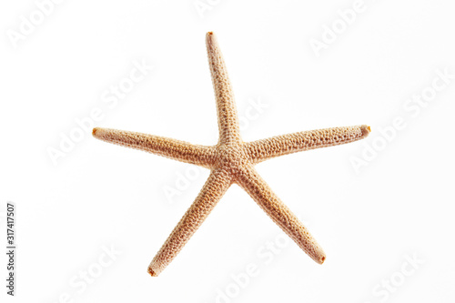 Fototapeta Isolated starfish on white background