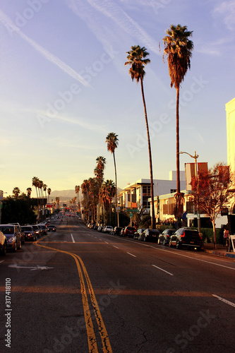 Los Angeles, CA, USA. January 10, 2020. Blue undercity and palm trees at Sunset Blvd towards inscription on Mount Hollywood.