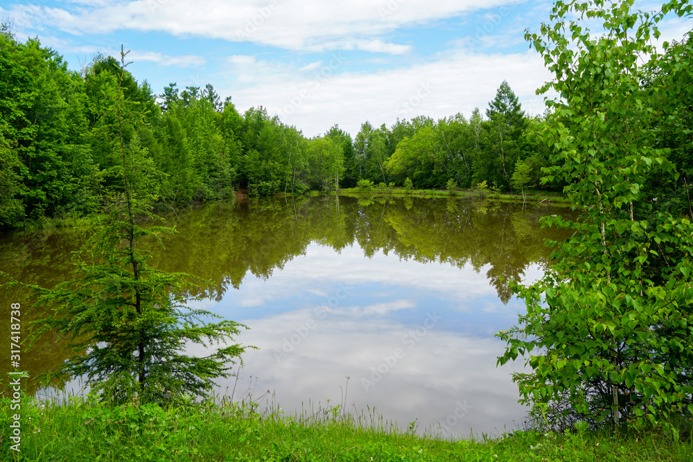 a wild pond in the middle of a summer green colorful forest, calm standing water, blue sky, coniferous and deciduous trees, a peaceful landscape of the middle lane