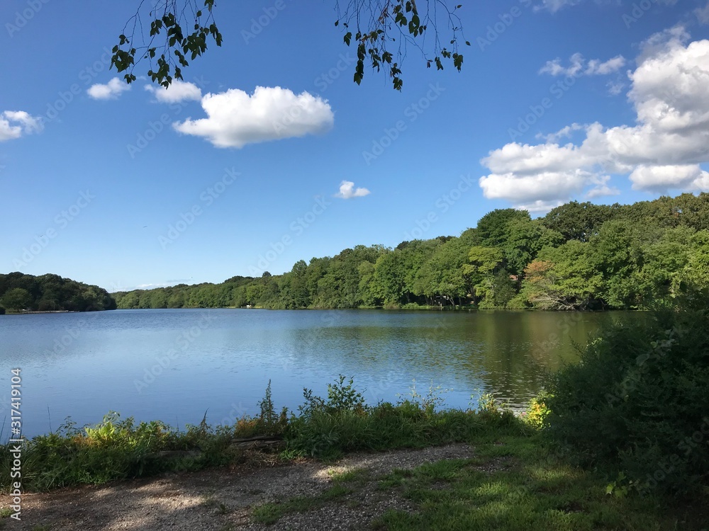 Fototapeta premium lake in forest