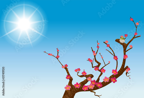 春のイメージの風景イラスト｜青空と紅梅とメジロのイラスト