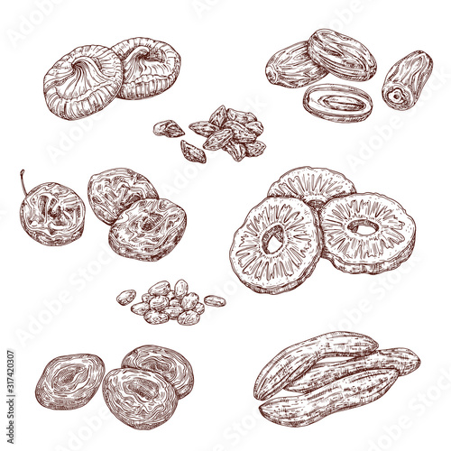 Dried fruits and candied berries isolated vector sketches. Dates, raisins and prunes, dried apricots and figs, pineapple and banana monochrome sketches