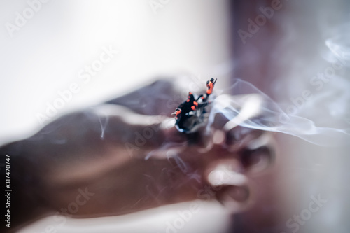 Woman's hands smudging burning sage photo