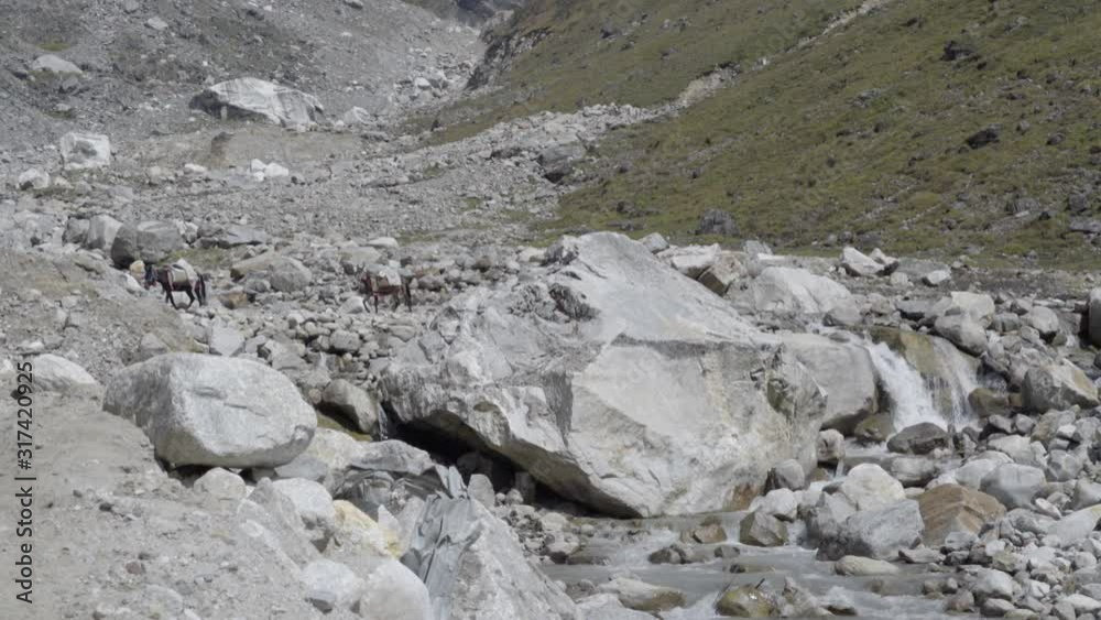Scenic view of Kedarnath, Uttarakhand, India. View of mountain river, Himalaya peak, mule carrying goods. Garhwal Himalayan range. Scenic view of Kedarnath, Uttarakhand, India. View of mountain river, Himalaya peak, mule carrying goods. Garhwal Himalayan range.