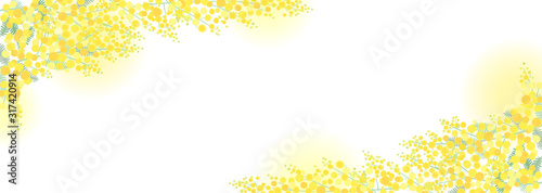 ミモザフレーム