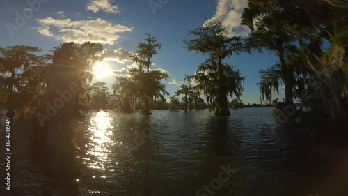 Lake Martin Cajun Swamp in spring near Breaux Bridge, Louisiana - shot from boat