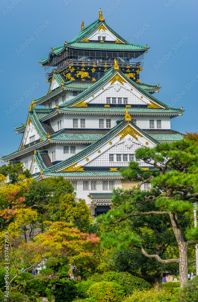 Fototapeta premium Zamek w Osace w jesiennych kolorach, Japonia