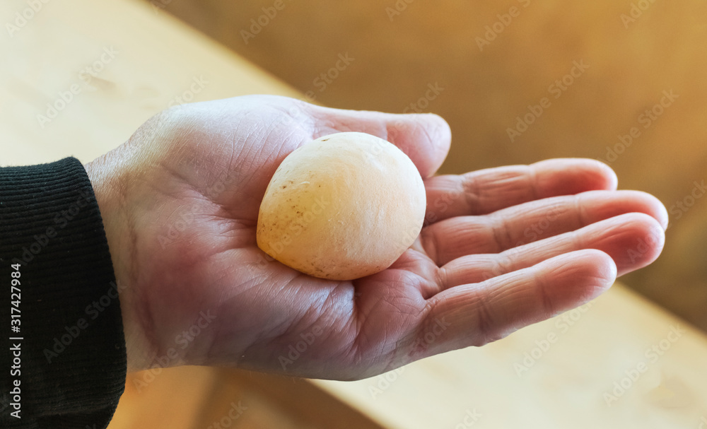 The hand holds a fresh soft egg laid by a sick chicken without a shell in the film