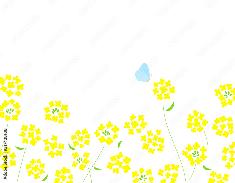 菜の花と蝶 背景イラスト Stock Vector Adobe Stock