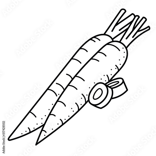 Hand drawing carrots; black and white vector illustration; vegetable doodle illustration for stickers, posters, seasonal design. 
