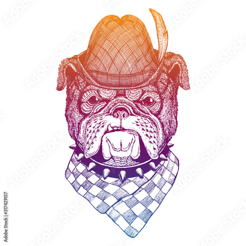 Vector dog, bulldog. Bavarian traditional hat. Tirol austrian hat. Beer Oktoberfest character portrait.